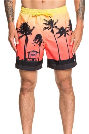 Quiksilver Dandelion Erkek Deniz Şort EQYJV03590-YHH6