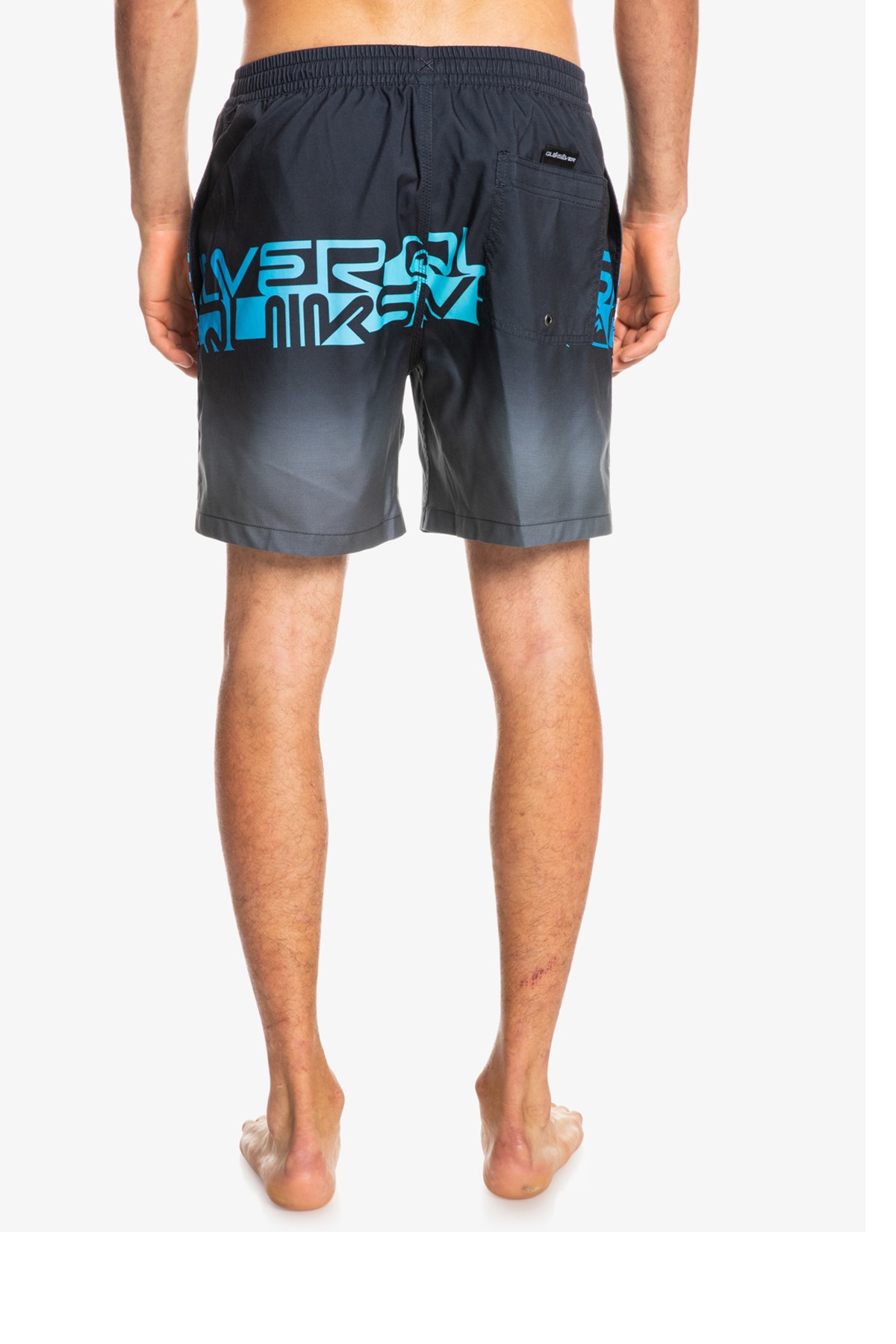 Quiksilver Wordblock Erkek Deniz Şortu EQYJV03859 Antrasit
