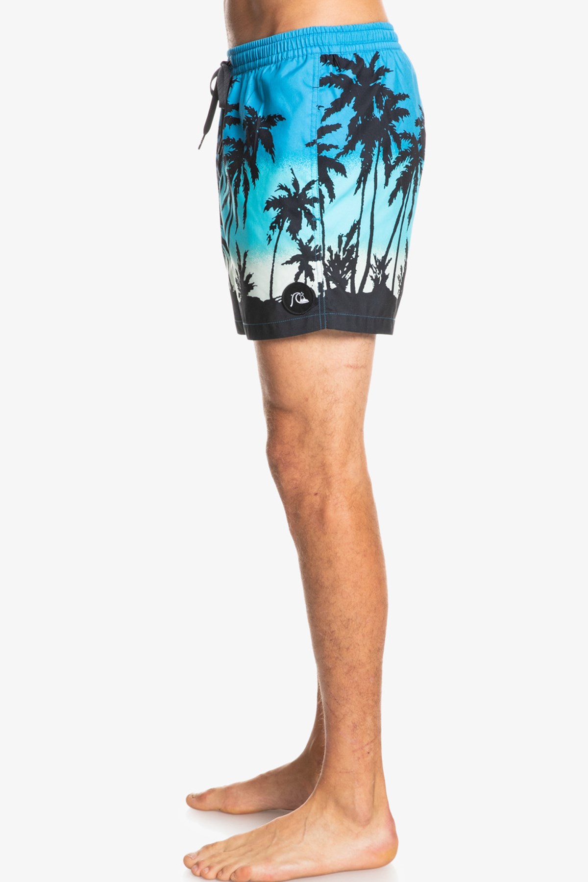 Quiksilver Everyday Paradise Erkek Deniz Şortu EQYJV03861 Mavi