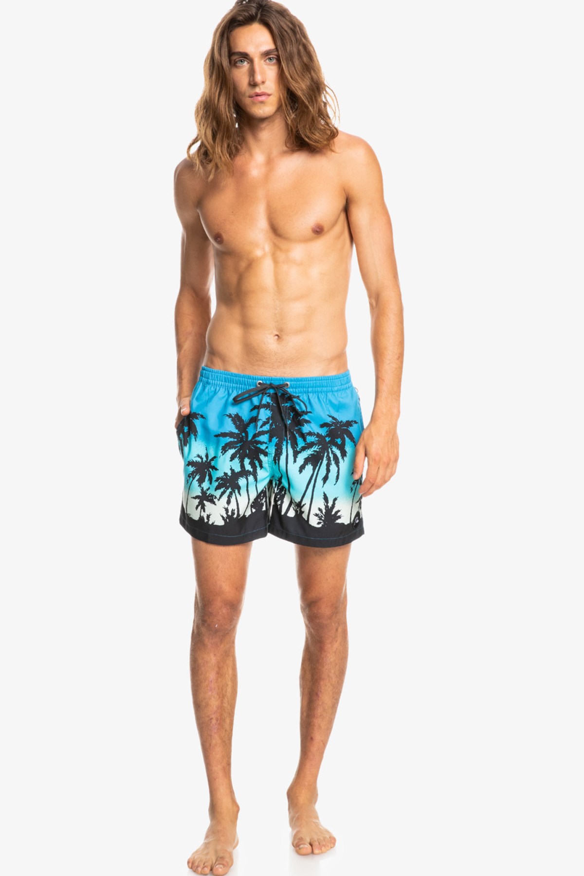 Quiksilver Everyday Paradise Erkek Deniz Şortu EQYJV03861 Mavi