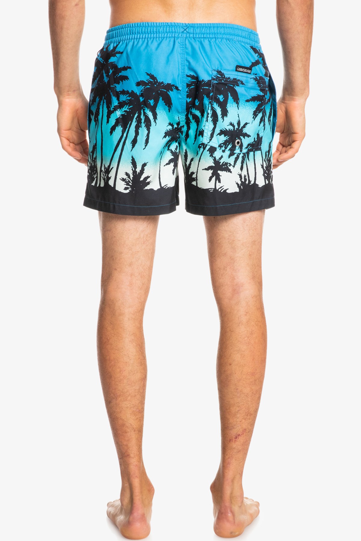 Quiksilver Everyday Paradise Erkek Deniz Şortu EQYJV03861 Mavi