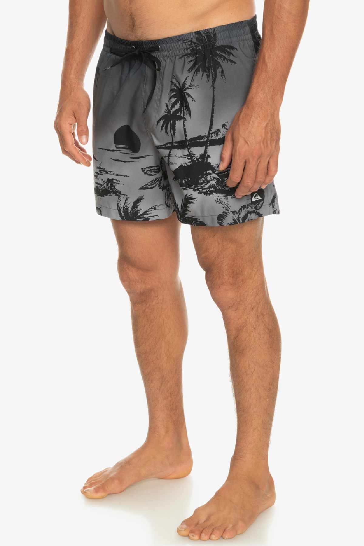 Quiksilver Paradise 15 Erkek Deniz Şortu EQYJV03999-KVJ6 Siyah