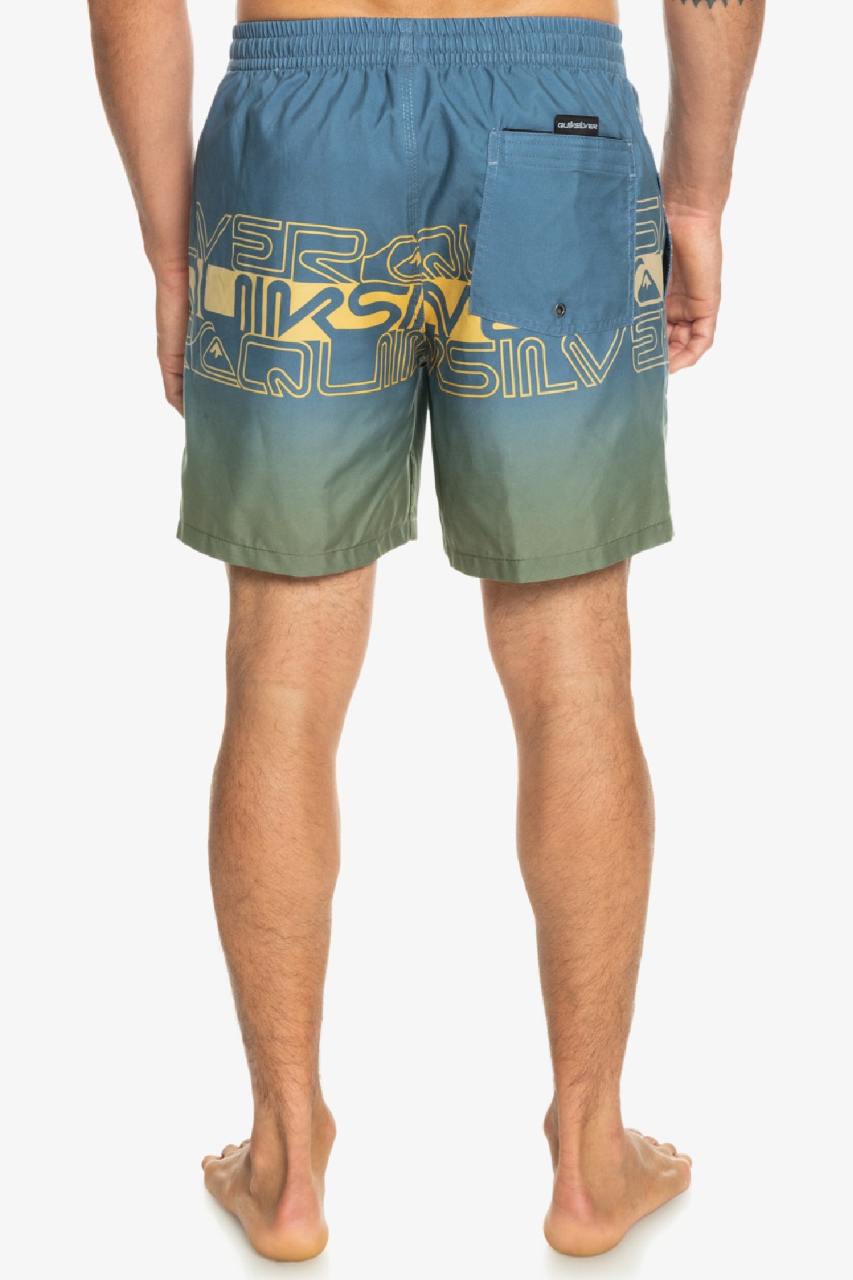 Quiksilver Wordblock 17 Erkek Deniz Şortu EQYJV04005-BYG6 Lacivert