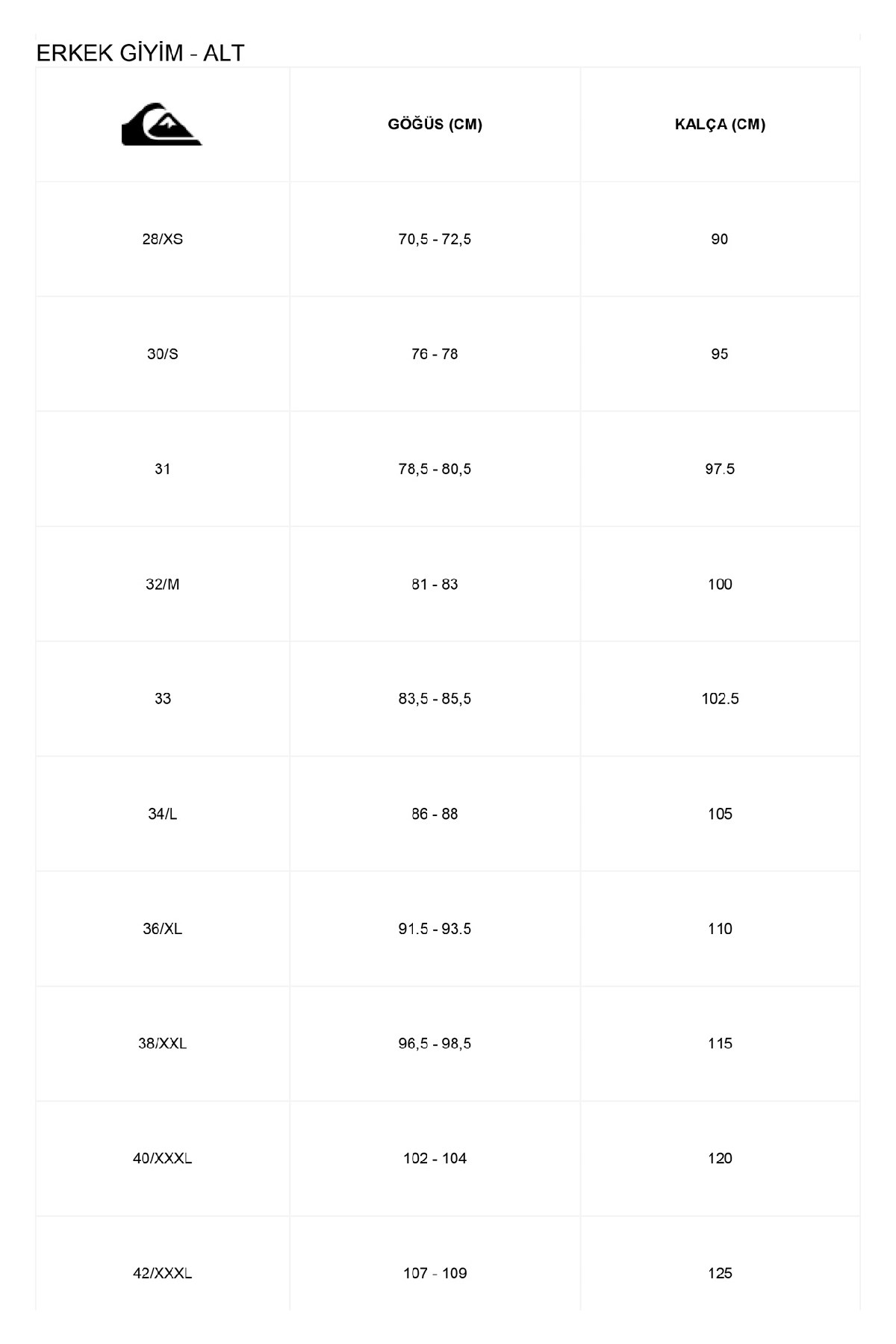 Quiksilver Wordblock 17 Erkek Deniz Şortu EQYJV04005-BYG6 Lacivert