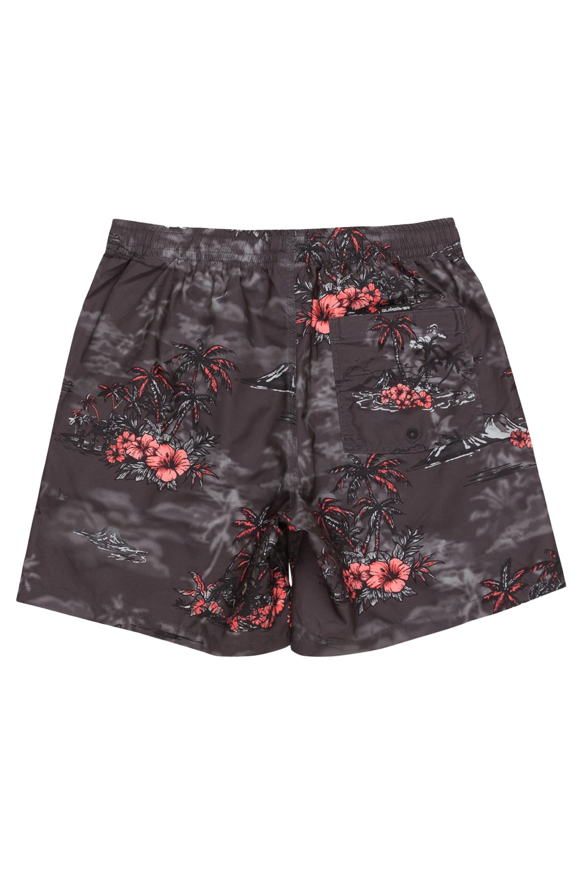 Quiksilver Longmanhill Volley Erkek Deniz Şortu EQYJV04063-9024 Gri
