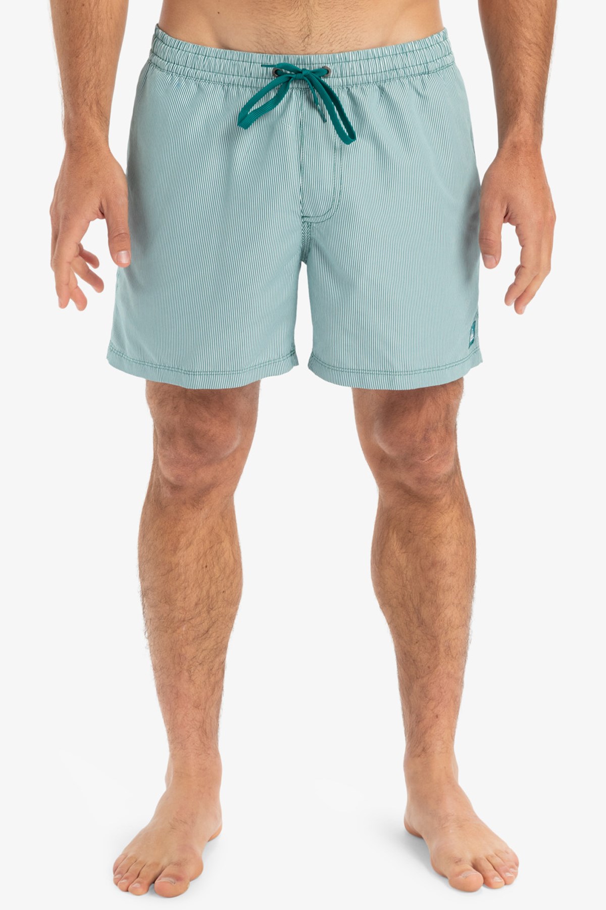 Quiksilver Everyday Deluxe Erkek Deniz Şortu Yeşil