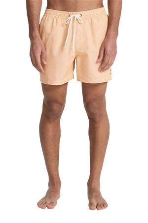 Quiksilver Deluxe 15 Erkek Deniz Şortu EQYJV04101-3091