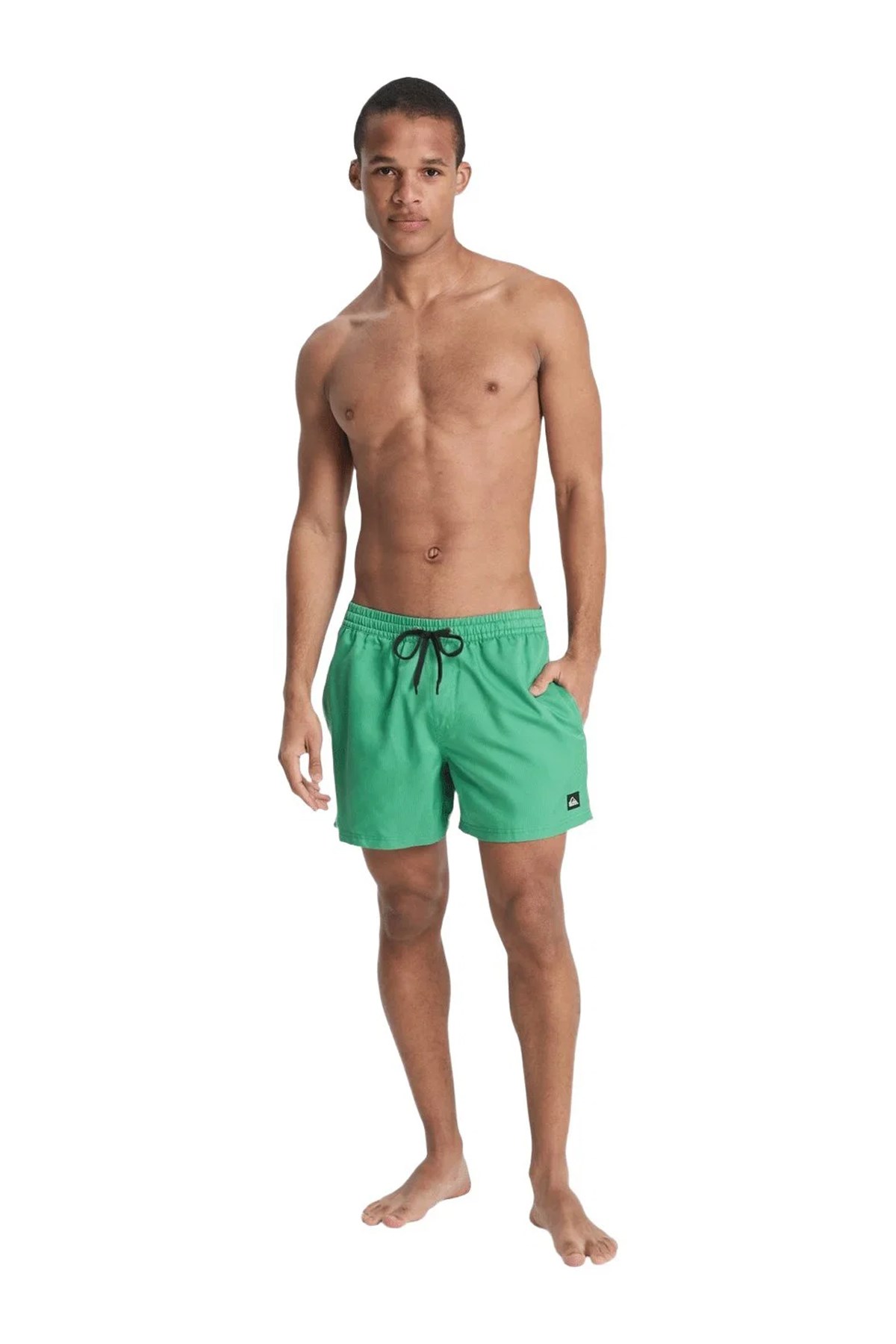 Quiksilver Deluxe 15 Erkek Deniz Şortu EQYJV04101-GNZ0 Yeşil