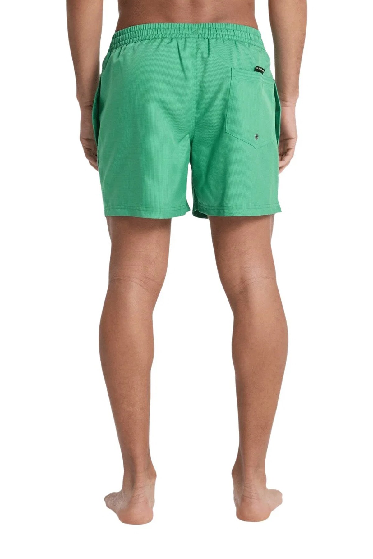 Quiksilver Deluxe 15 Erkek Deniz Şortu EQYJV04101-GNZ0 Yeşil