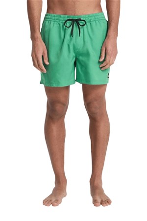 Quiksilver Deluxe 15 Erkek Deniz Şortu EQYJV04101-GNZ0