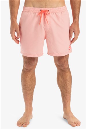 Quiksilver Everyday Deluxe Erkek Deniz Şortu