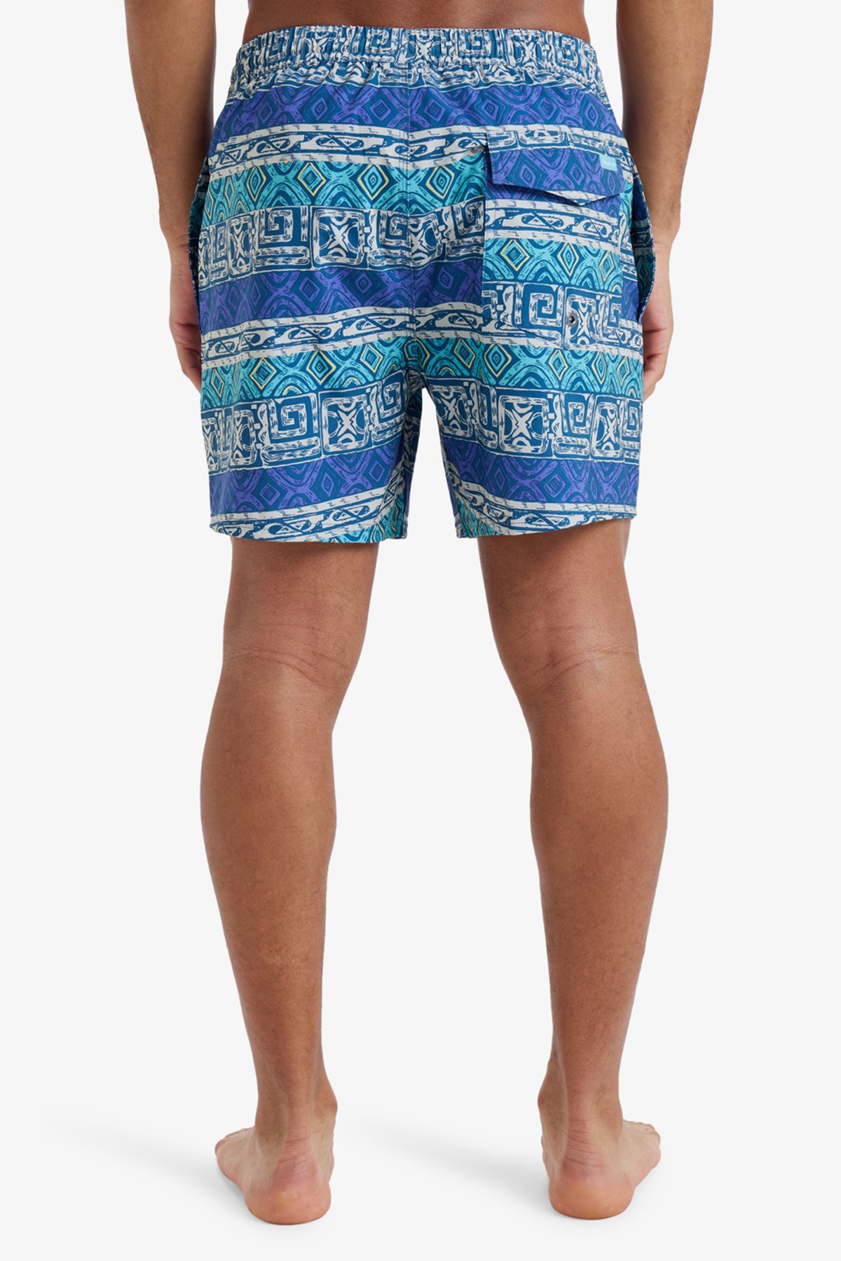 Quiksilver Surfsilk Straight Erkek Deniz Şortu Mor