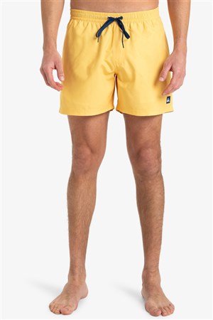 Quiksilver Everyday Solid Erkek Deniz Şortu