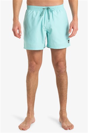 Quiksilver Everyday Solid Erkek Deniz Şortu