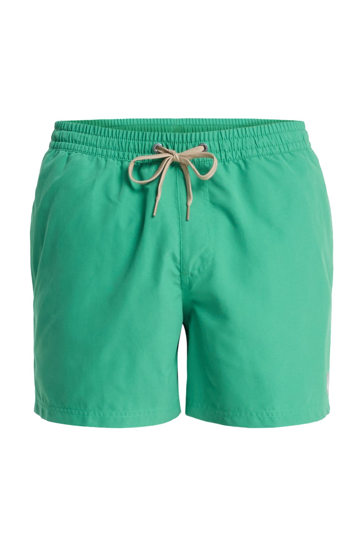 Quiksilver Everyday 15 Erkek Deniz Şortu EQYJV04120-GNZ0 Yeşil