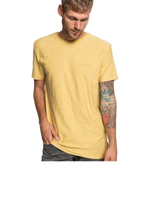 Quiksilver Kentin Erkek Tişört EQYKT03687