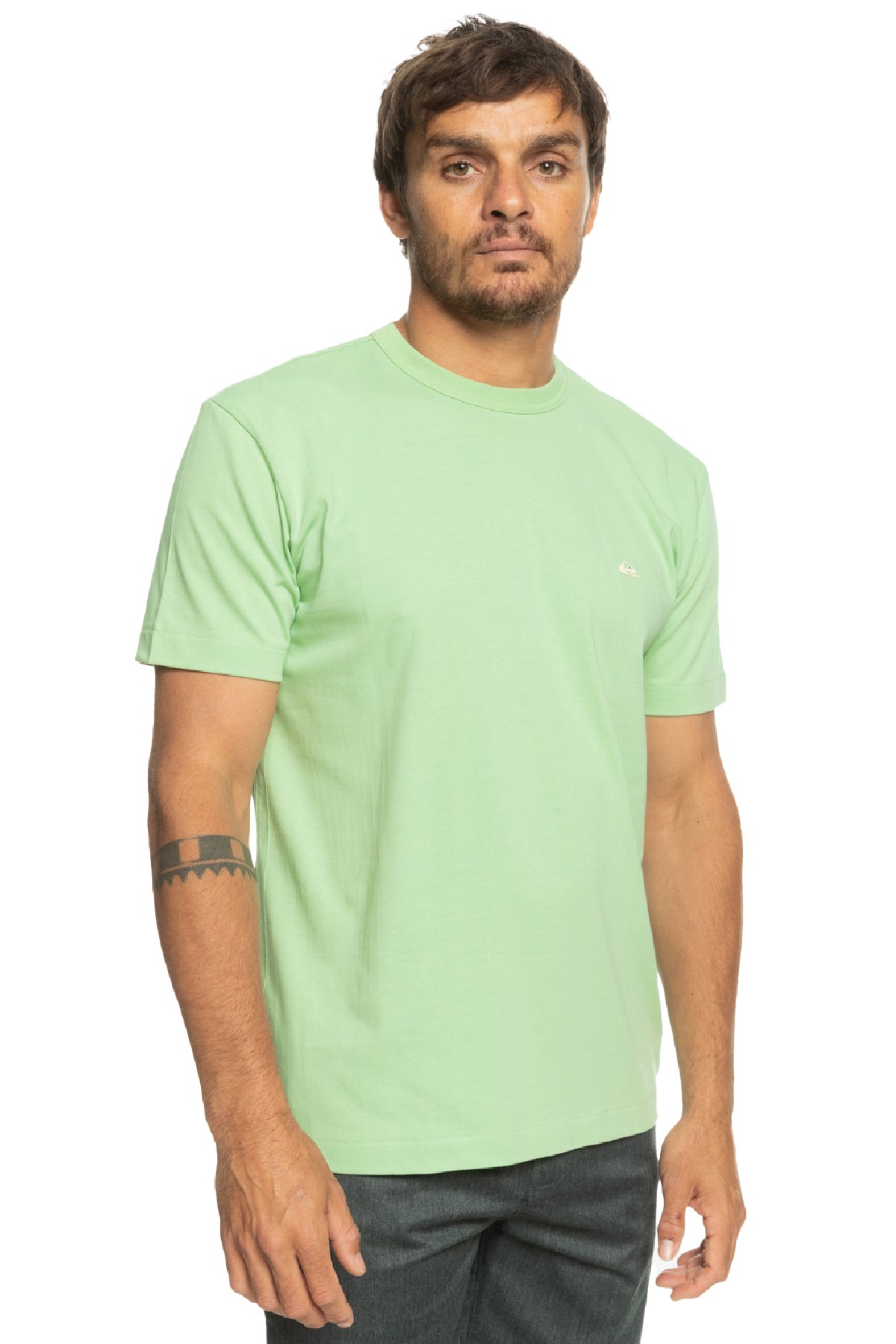 Quiksilver Essentials Erkek Tişört EQYKT04092-GFE0 Yeşil