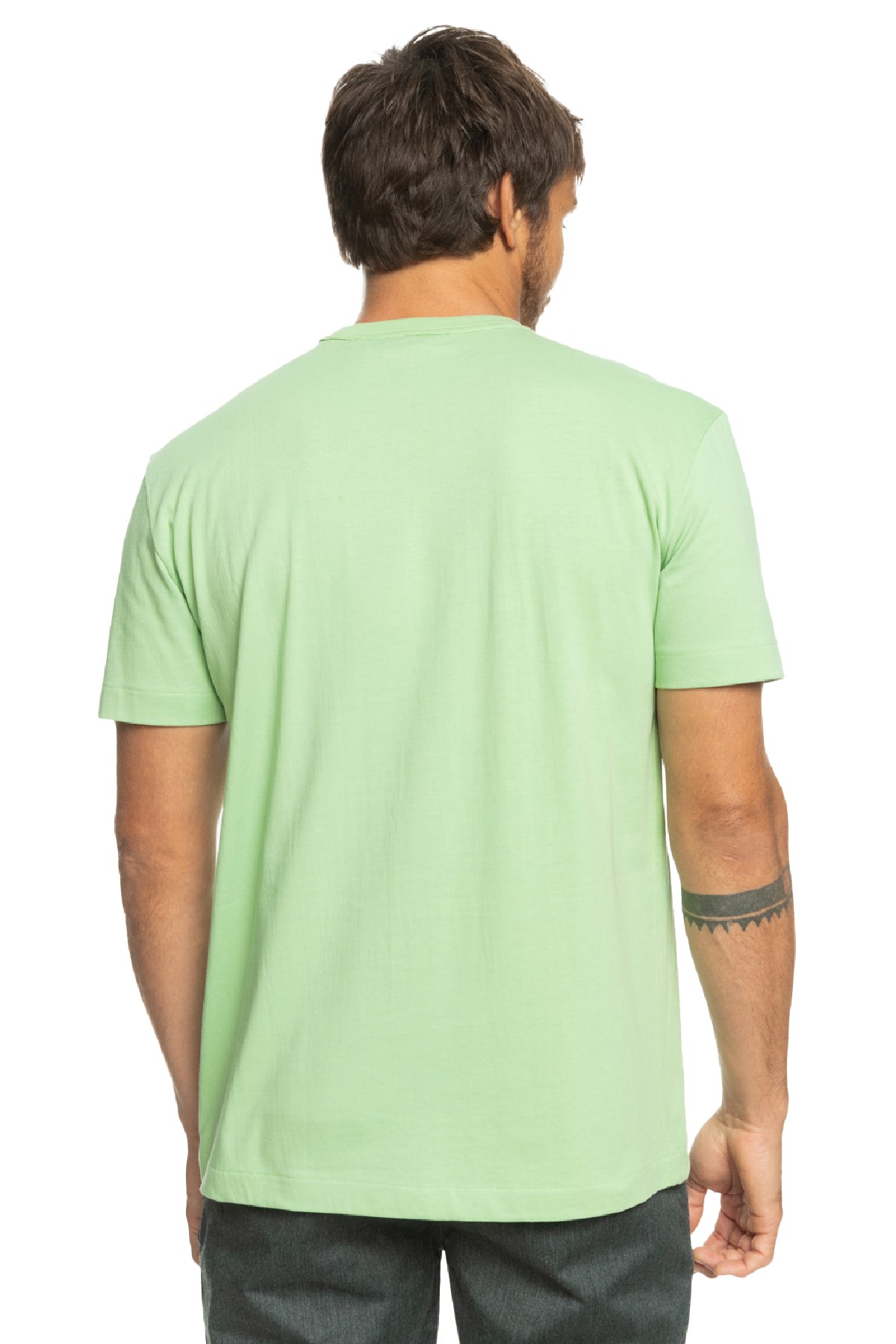 Quiksilver Essentials Erkek Tişört EQYKT04092-GFE0 Yeşil