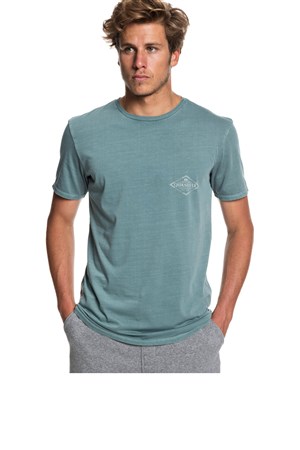 Quiksilver Vibedss Erkek Tişört EQYZT05222