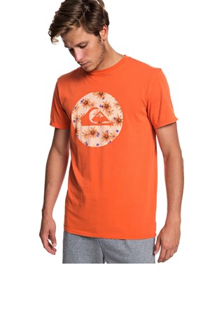 Quiksilver Quikcircledss Erkek Tişört EQYZT05227