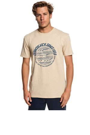 Quiksilver Goodarvoss Erkek Tişört EQYZT05228-21565
