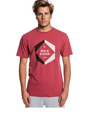 Quiksilver Hexalogoss Erkek Tişört EQYZT05260