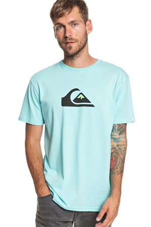 Quiksilver Mandwsstee Erkek T-Shirt EQYZT05262