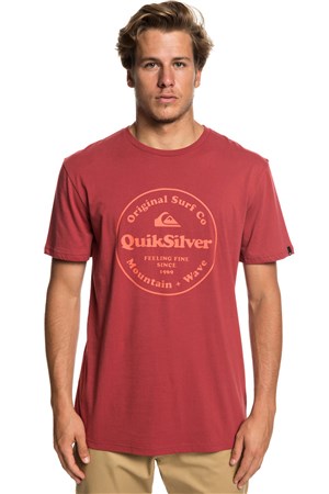 Quiksilver Scrtingredienss Erkek T-Shirt EQYZT05265