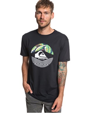 Quiksilver Stompedonss Erkek T-Shirt EQYZT05268