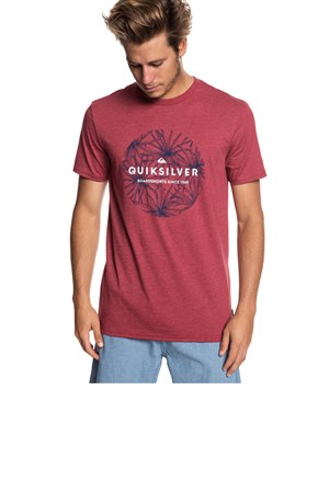 Quiksilver Classicbobss Erkek T-Shirt EQYZT05278