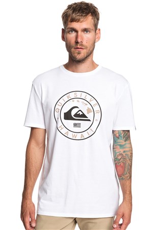 Qiksilver Outlinedhiss Erkek T-Shirt EQYZT05310