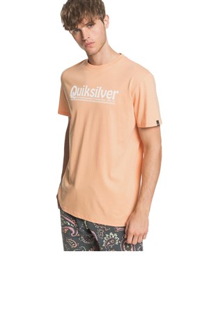 Quiksilver Molokai Erkek Tişört EQYZT05754-NGJ0