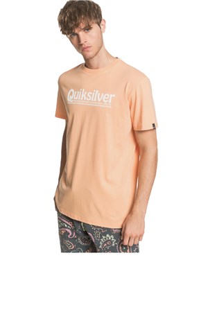 Quiksilver Molokai Erkek Tişört EQYZT05754-NGJ0
