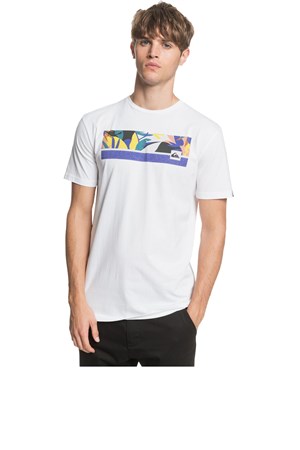 Quiksilver Jamitss Erkek Tişört Eqyzt05758-Wbb0