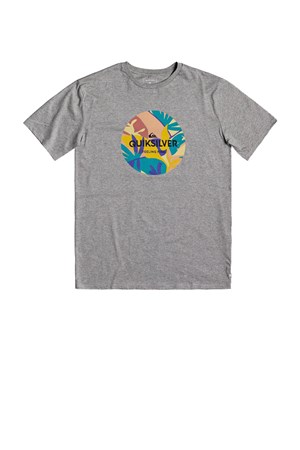 Quiksilver Summersendss Erkek Tişört Eqyzt05768-Kpvh