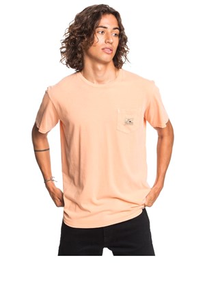 Quiksilver Erkek Tişört EQYZT05804-NGJ0