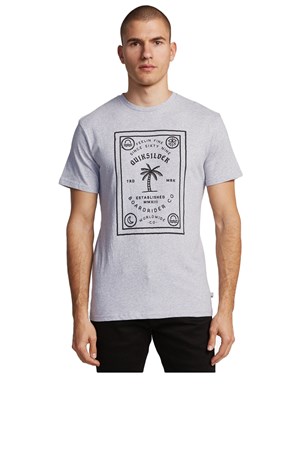 Quiksilver Badliarss Erkek Tişört Eqyzt05817-Szhh