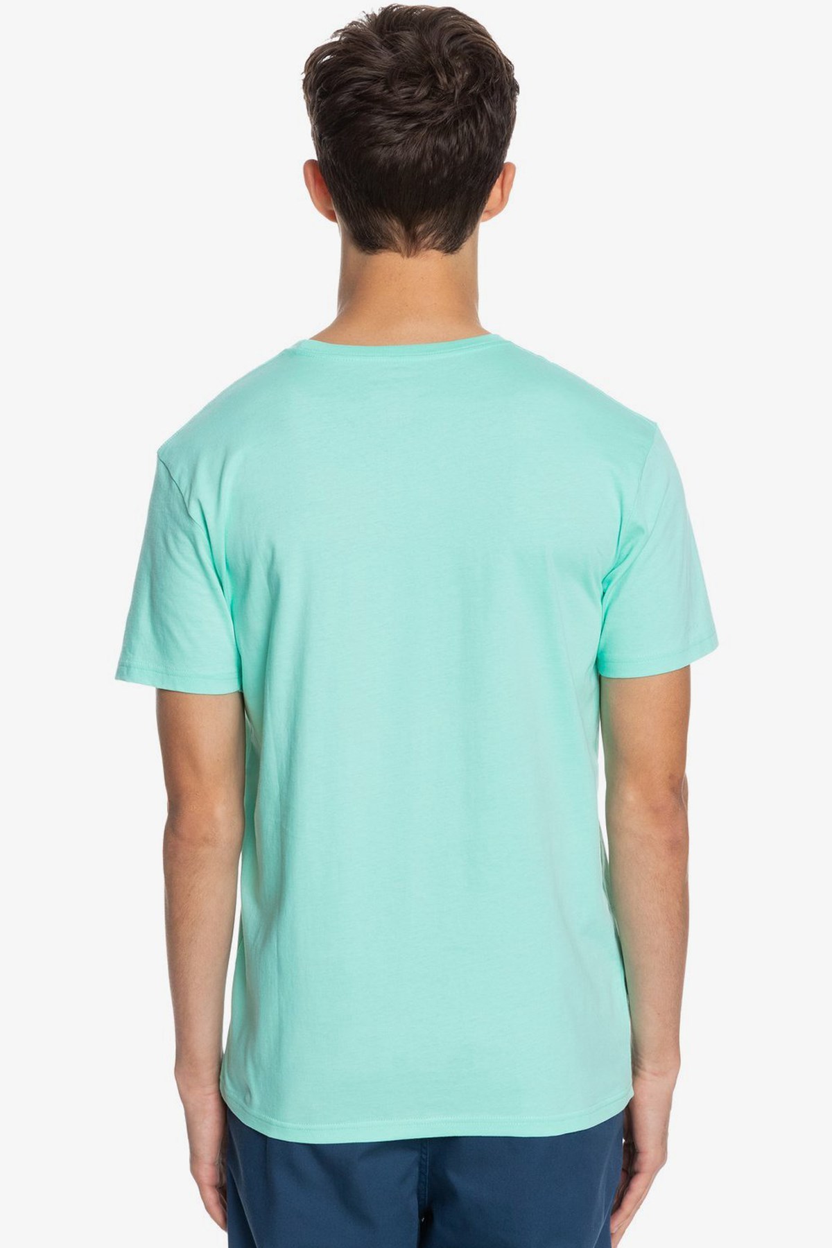 Quiksilver Comp Logo Erkek Tişört EQYZT06314-GEA0 Mint