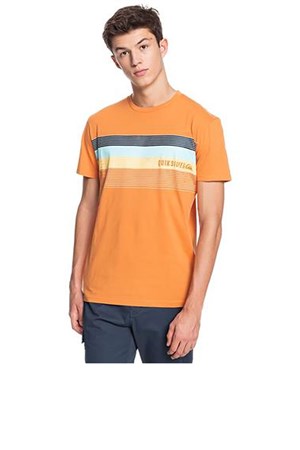 Quiksilver Edges Run Erkek Tişört EQYZT06378-NLF0