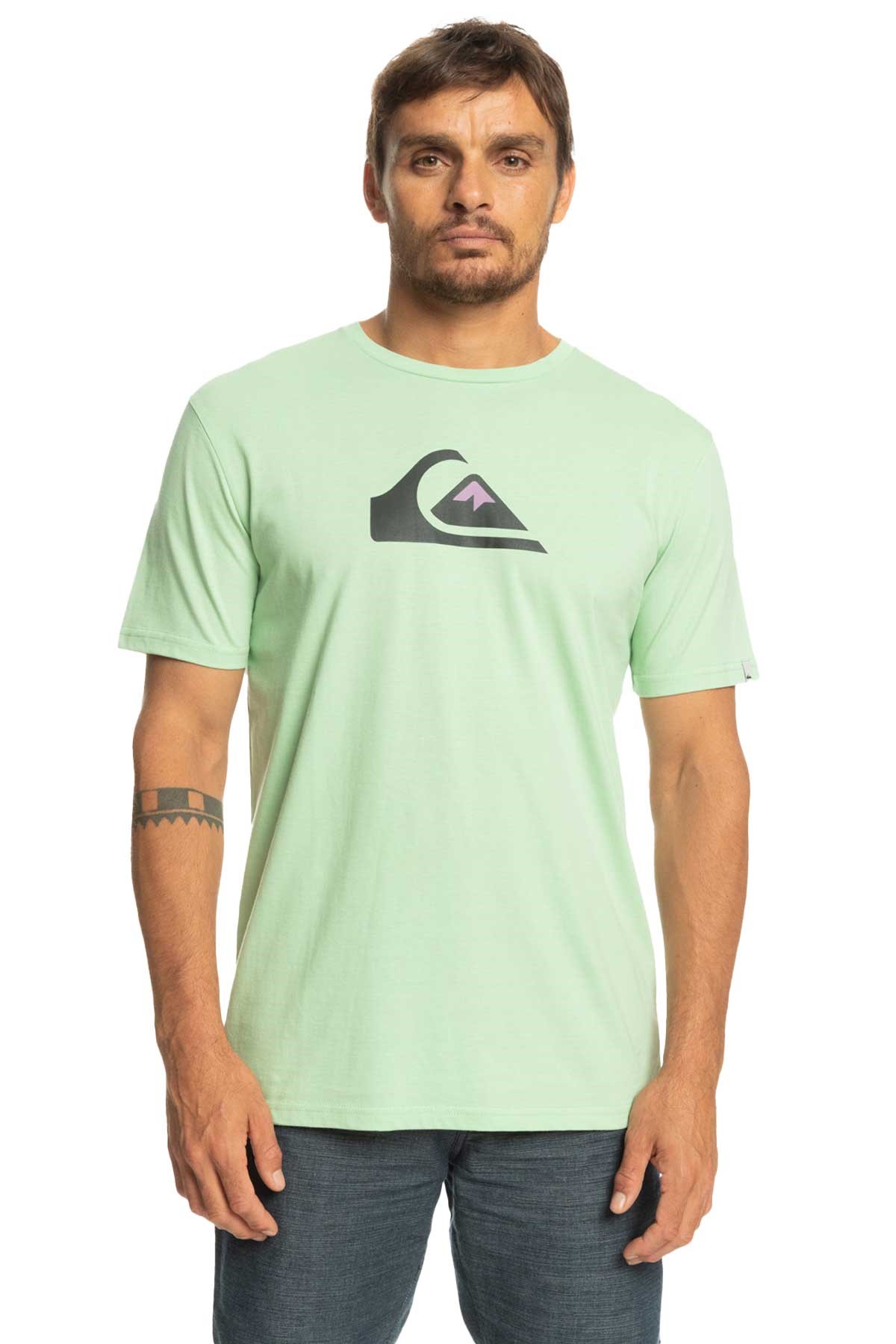Quiksilver Complogo Erkek Tişört EQYZT06534-GFE0 Yeşil