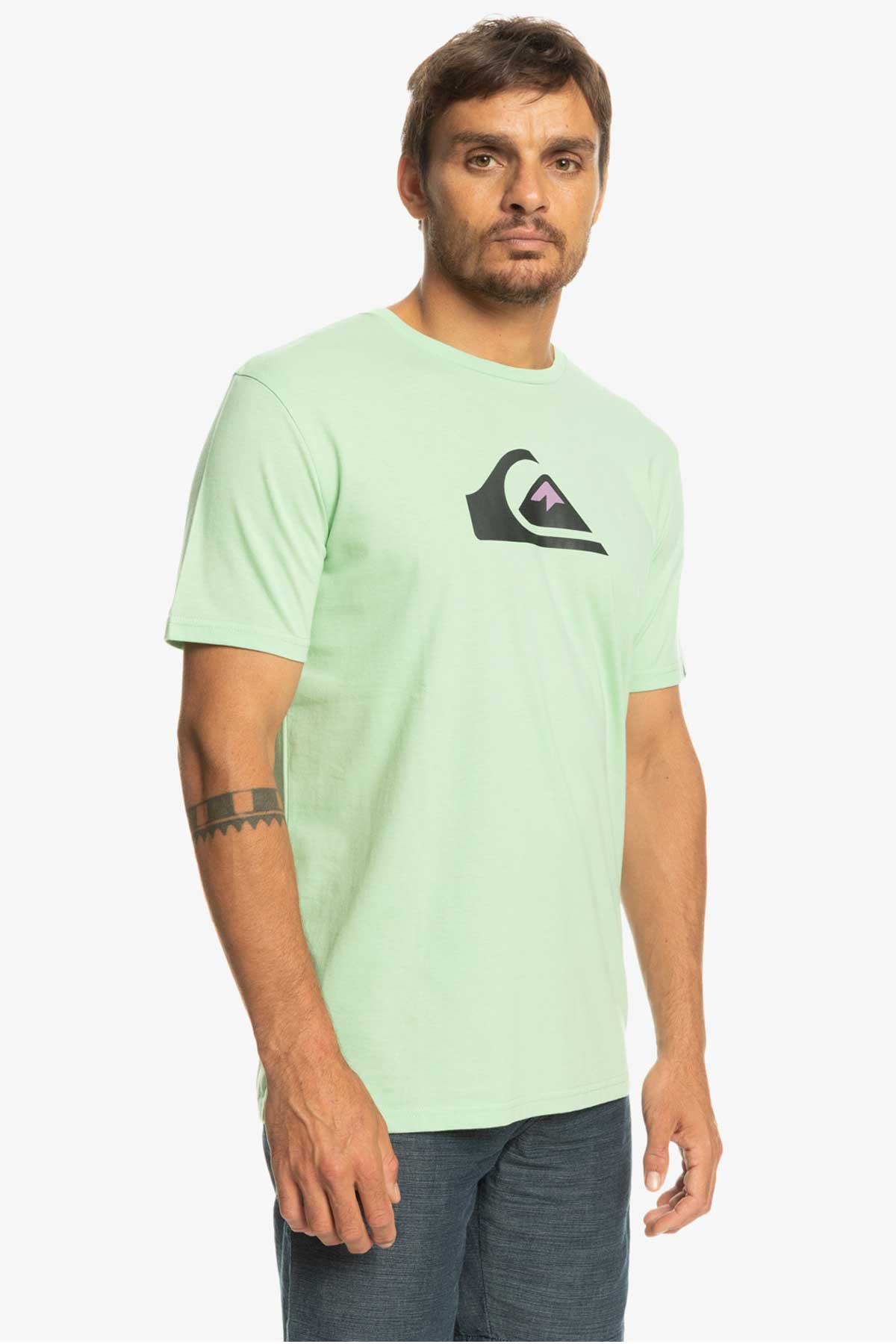 Quiksilver Complogo Erkek Tişört EQYZT06534-GFE0 Yeşil