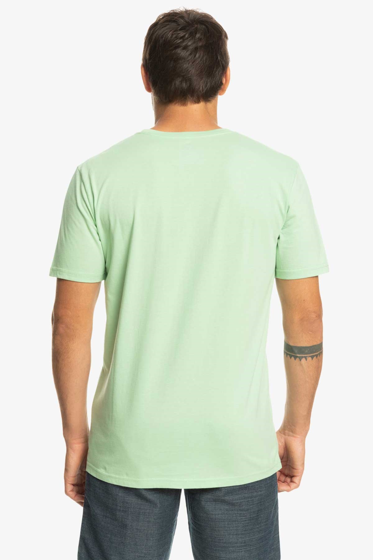 Quiksilver Complogo Erkek Tişört EQYZT06534-GFE0 Yeşil