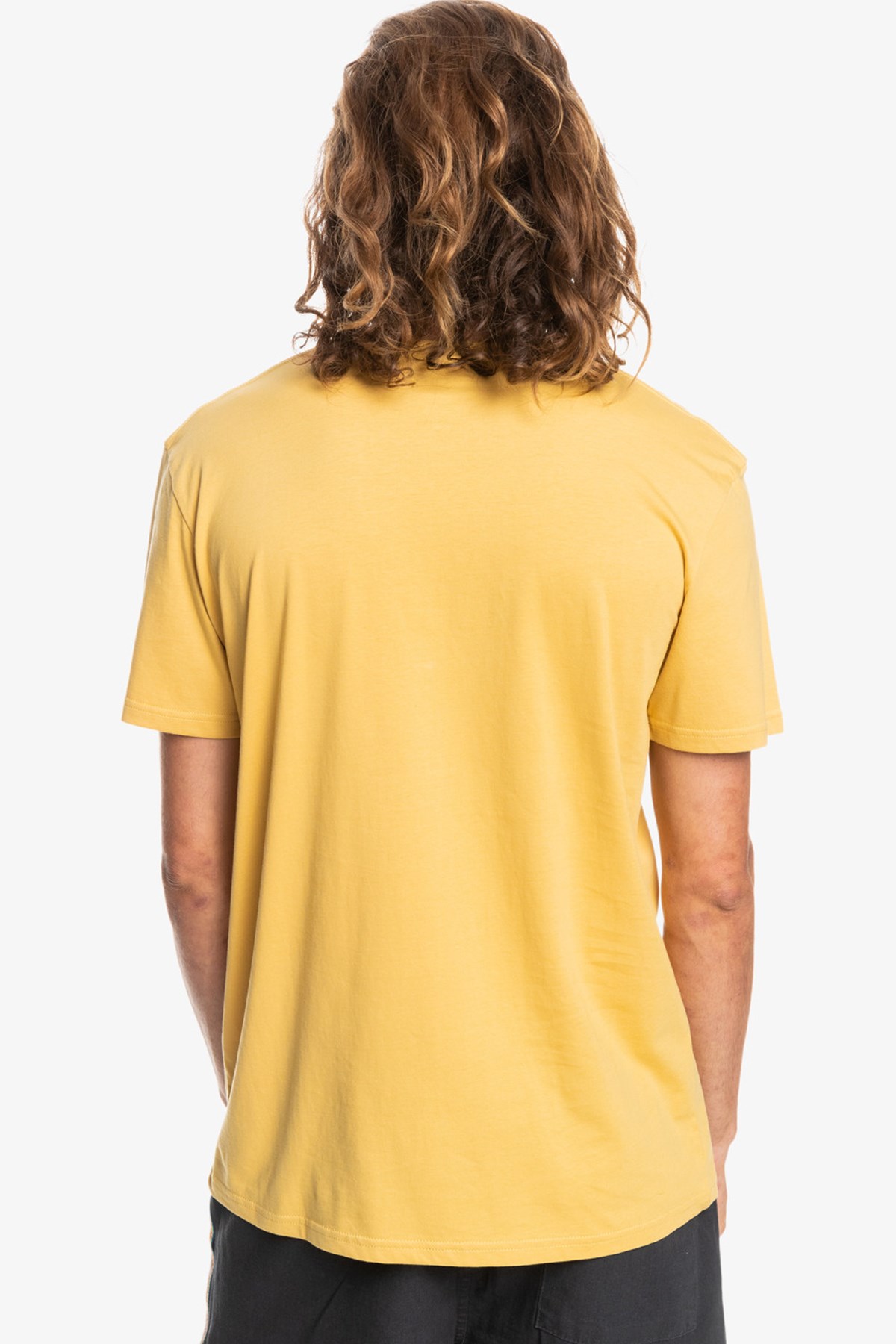 Quiksilver Comp Logo Erkek Tişört EQYZT06534 Gri