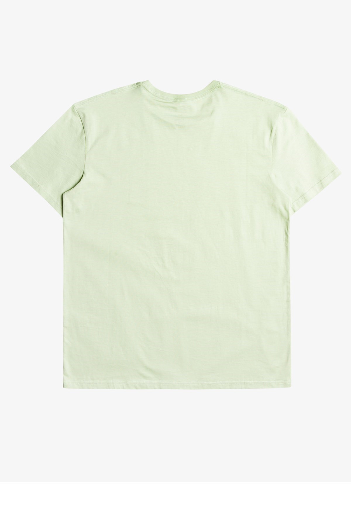 Quiksilver Feeding Line Erkek Tişört EQYZT06659 Yeşil