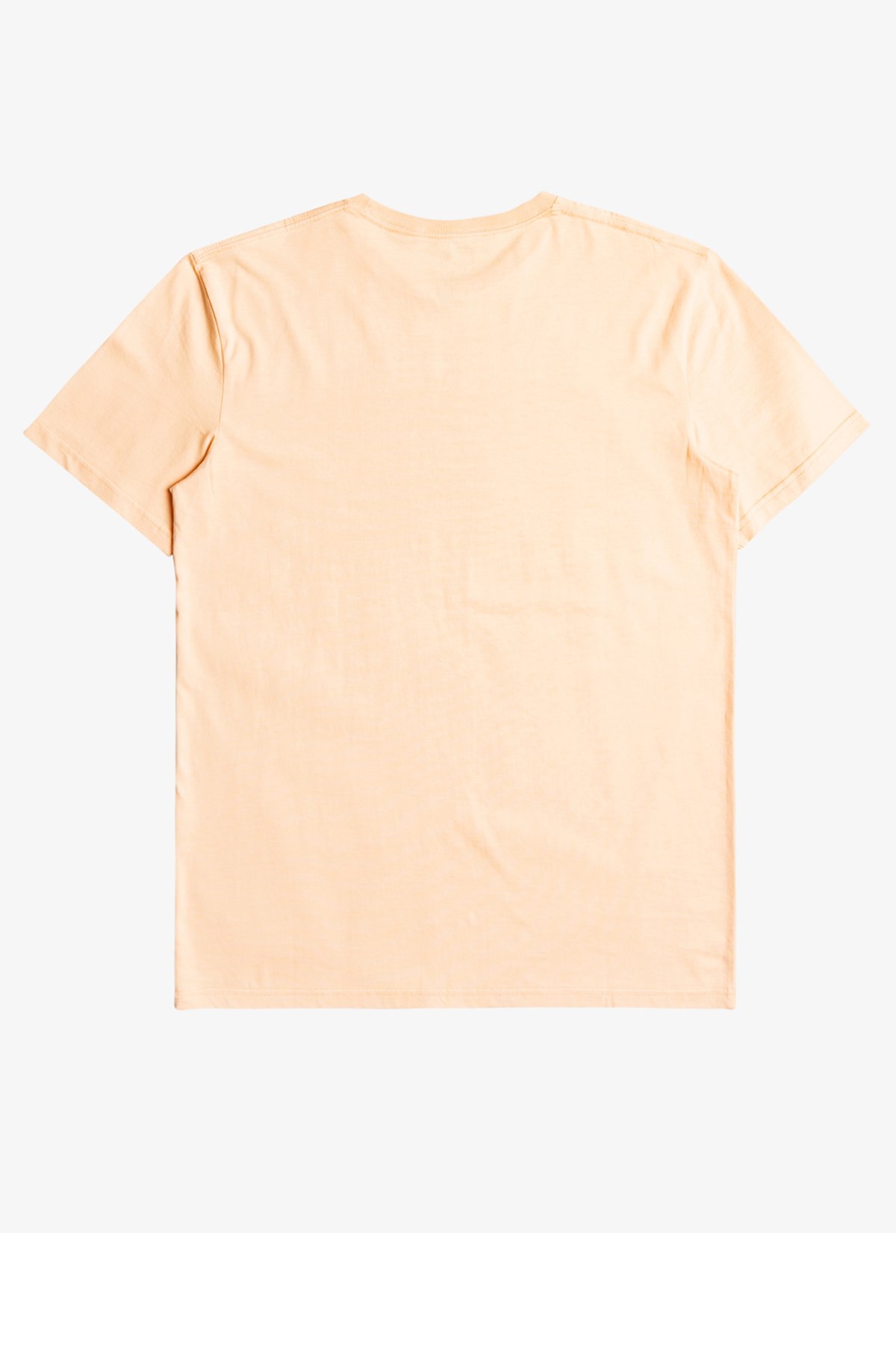 Quiksilver Feeding Line Erkek Tişört EQYZT06659 Ekru