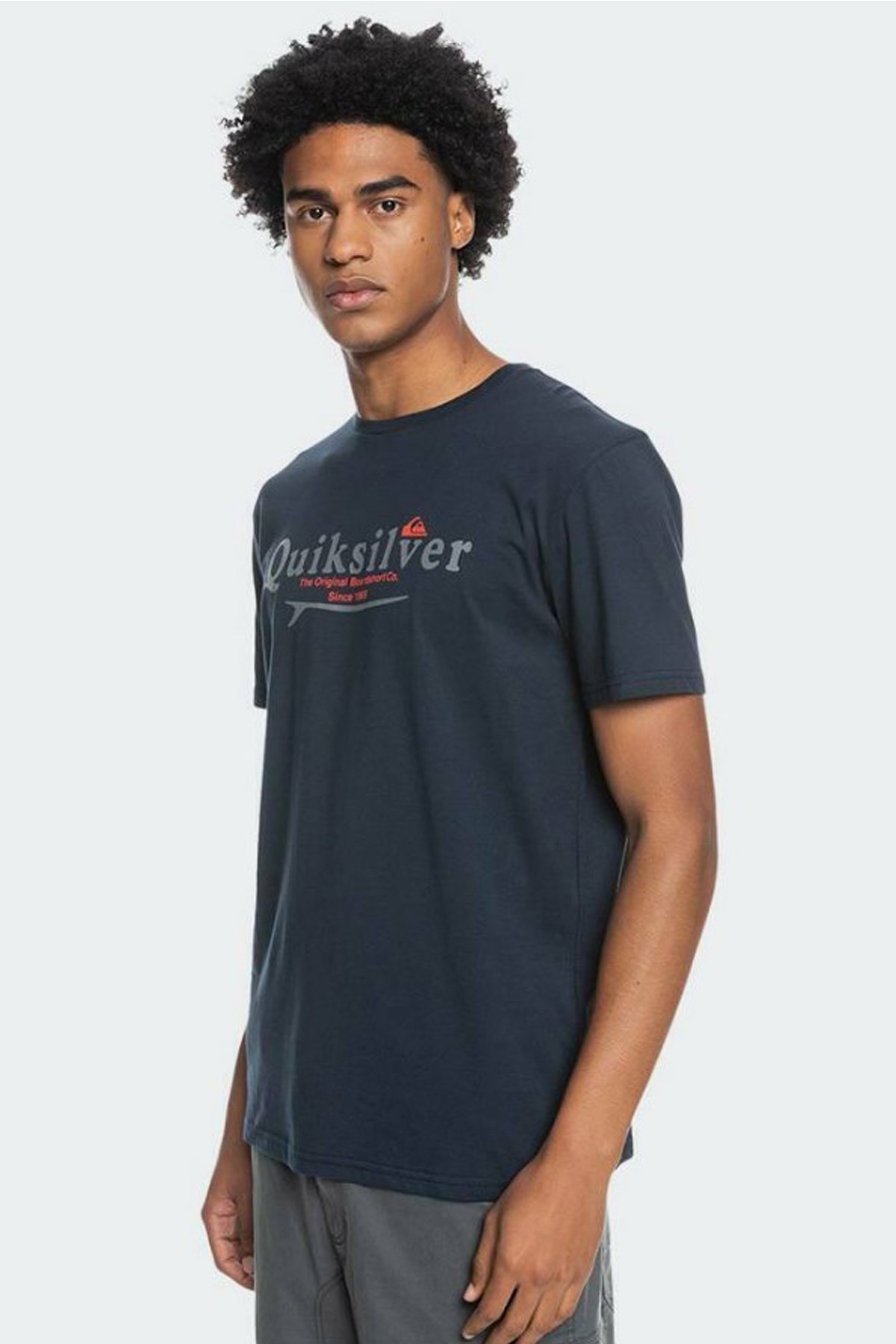 Quiksilver Silver Lining Erkek Tişört EQYZT06711 Lacivert