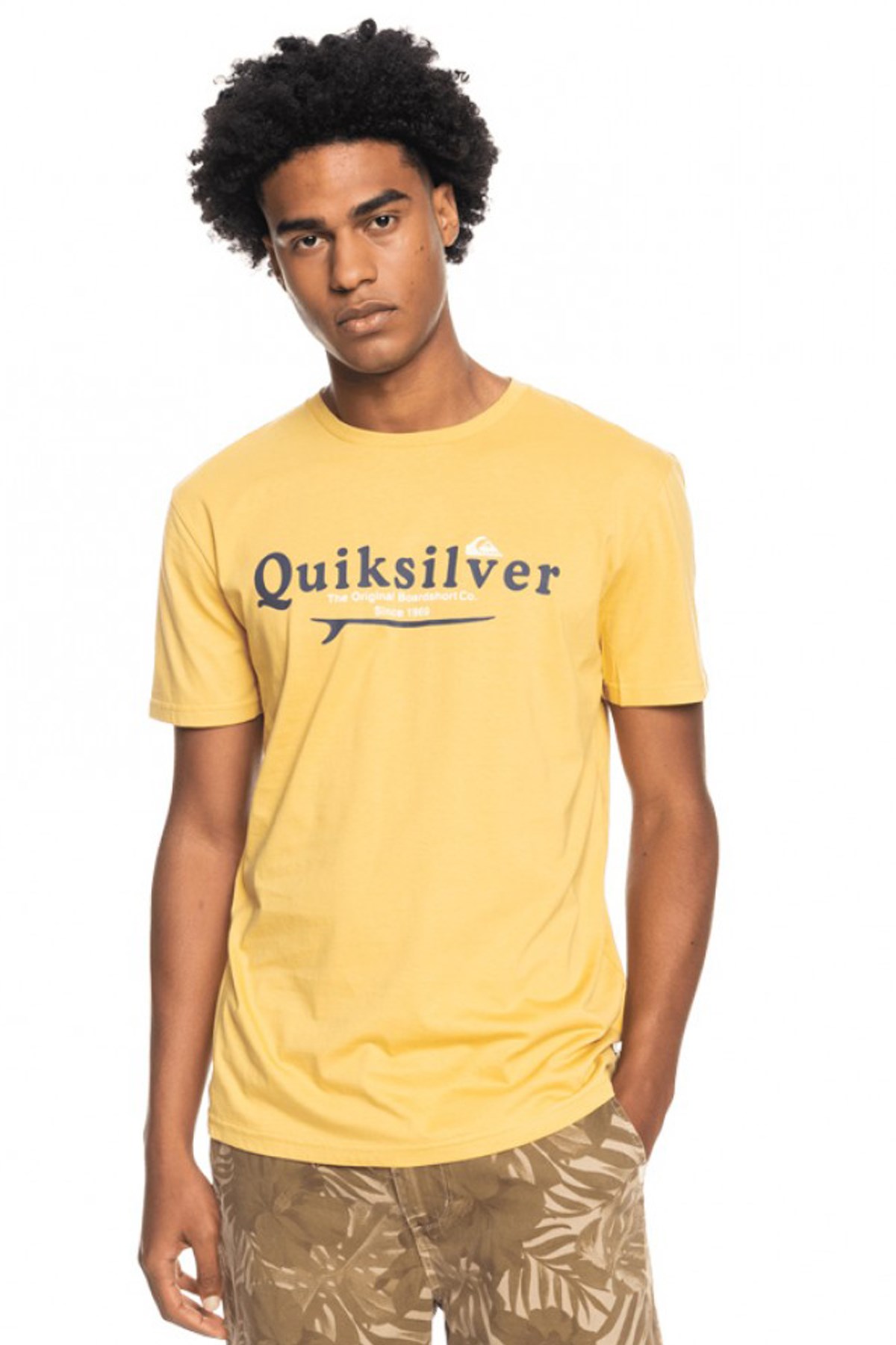 Quiksilver Silver Lining Erkek Tişört EQYZT06711 Gri