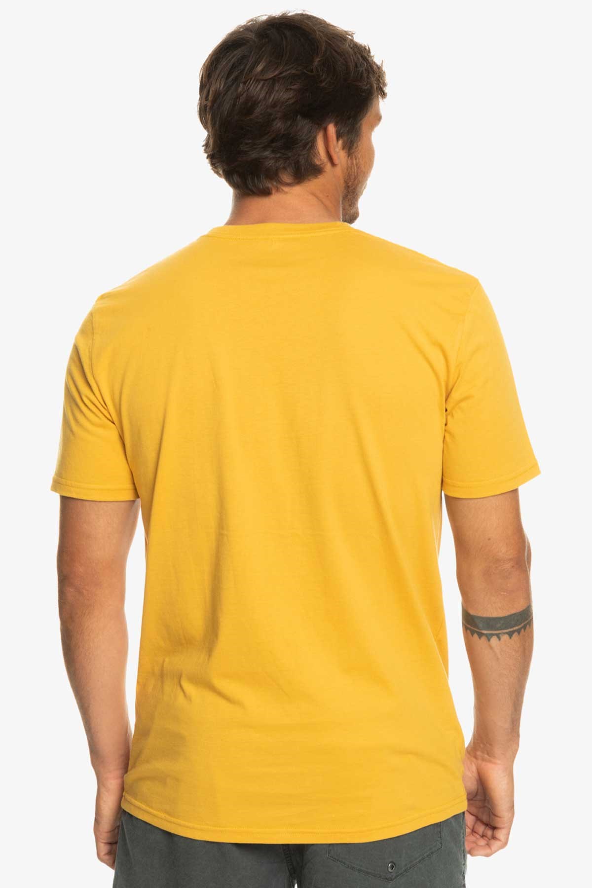 Quiksilver Mwminilogo Erkek Tişört EQYZT07215-YKD0 Sarı