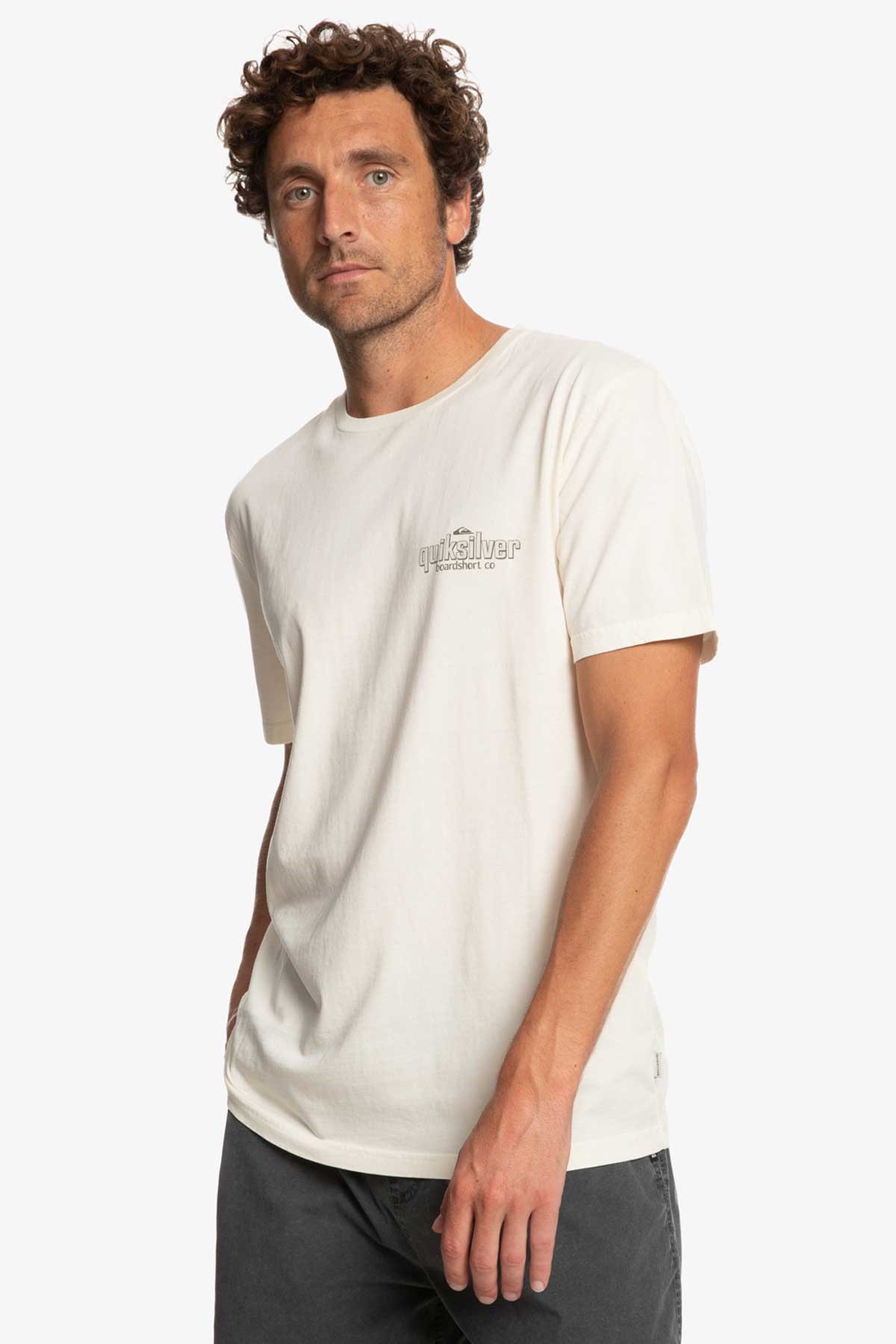Quiksilver Quikwords Erkek Tişört EQYZT07263-WDW0 Krem
