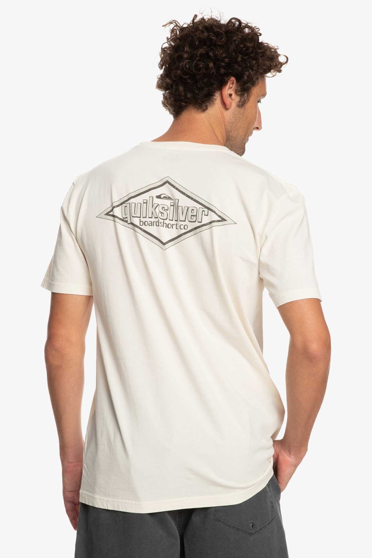 Quiksilver Quikwords Erkek Tişört EQYZT07263-WDW0 Krem